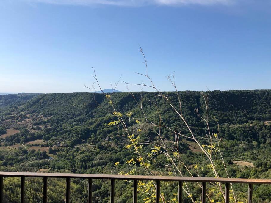 La Terrazza - Palazzo Pallotti Lubriano Esterno foto
